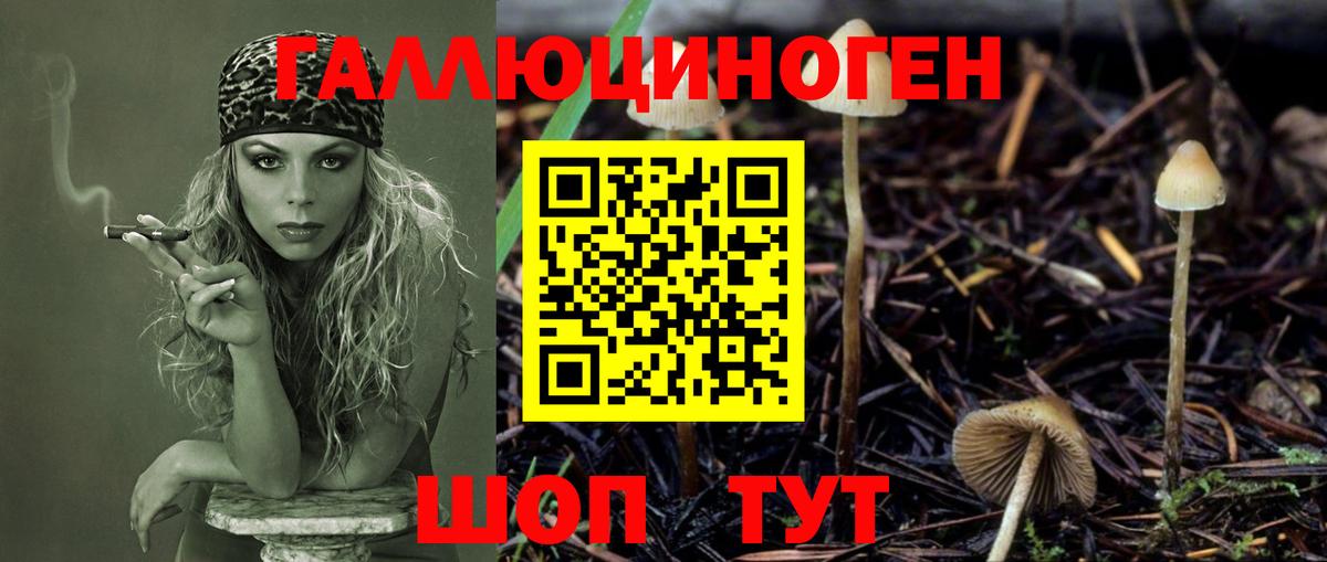 Знаменск  Псилоцибиновые грибы Cubensis  купить закладку  Вход с VPN 