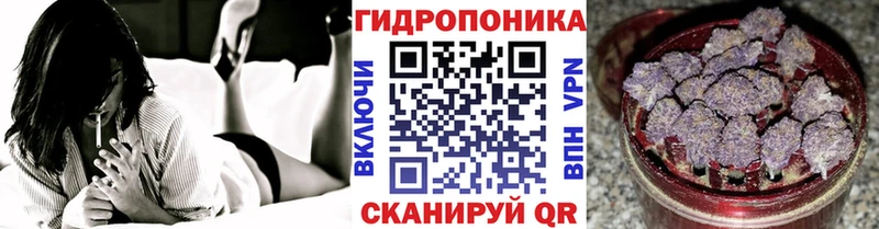 Шишки марихуана семена  где купить   Знаменск 